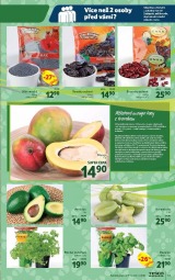 Tesco aktuln letk, strana 13 