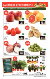 Tesco velk hypermarkety od 2.1.2013, strana 12 