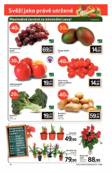 Tesco mal hypermarkety od 16.1.2013, strana 12 