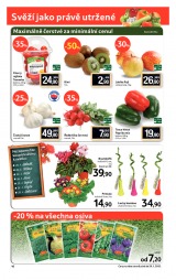 Tesco velk hypermarkety od 23.1.2013, strana 16 