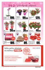 Tesco mal hypermarkety od 6.2.2013, strana 2 