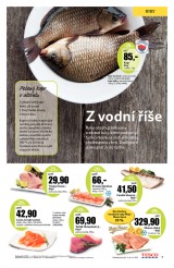 Tesco Jarn katalog velk hypermarkety od 6.3.2013, strana 7 