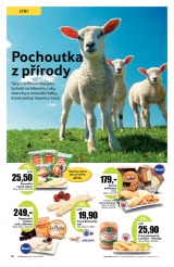 Tesco Jarn katalog velk hypermarkety od 6.3.2013, strana 16 