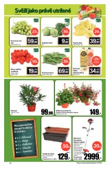 Tesco mal hypermarkety od 1.5.2013, strana 12 