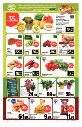 Tesco mal hypermarkety od 5.6.2013, strana 12 
