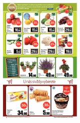 Tesco mal hypermarkety od 9.10.2013, strana 12 
