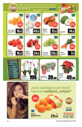 Tesco mal hypermarkety od 13.11.2013, strana 12 