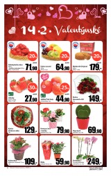Tesco velk hypermarkety od 5.2.2014, strana 2 