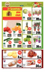 Tesco obchodn domy od 19.2.2014, strana 20 