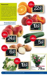 Letk Tesco, strana 2 