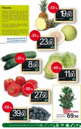Tesco letk, strana 2 
