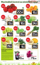 Tesco letk, strana 2 