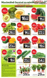 Tesco letk, strana 20 