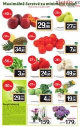 Tesco aktuln letk, strana 16 
