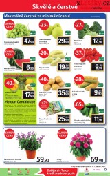 Tesco letk, strana 24 