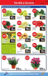 Tesco letk, strana 2 