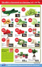Tesco letk, strana 16 