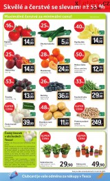 Tesco letk, strana 20 