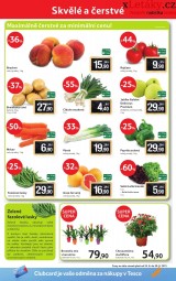 Tesco akn letk, strana 12 