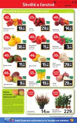 Tesco aktuln letk, strana 16 