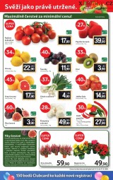 Tesco akn letk, strana 24 