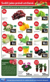 Tesco letk, strana 20 