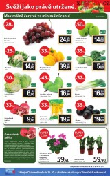 Tesco aktuln letk, strana 12 
