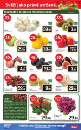 Tesco aktuln letk, strana 5 