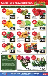 Tesco letk, strana 24 