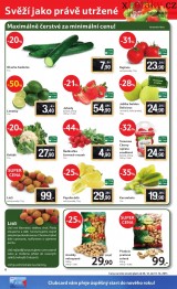 Tesco letk, strana 8 