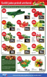 Tesco letk, strana 20 