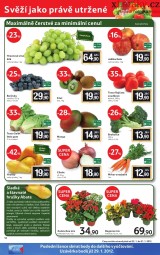 Tesco akn letk, strana 12 