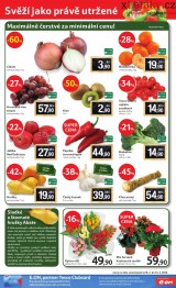 Tesco letk, strana 20 