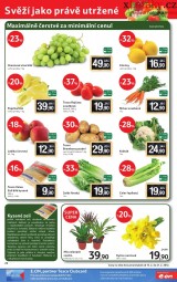 Tesco letk, strana 24 