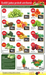 Tesco letk, strana 20 