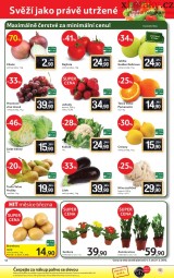Tesco akn letk, strana 12 