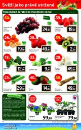 Letk Tesco, strana 16 