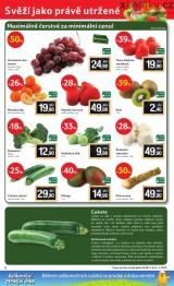 Tesco akn letk, strana 6 