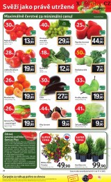 Tesco letk, strana 20 