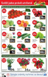 Tesco akn letk, strana 12 