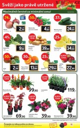 Tesco aktuln letk, strana 24 