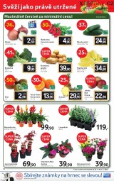 Tesco akn letk, strana 12 