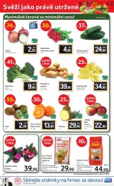 Tesco letk, strana 6 