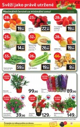 Tesco letk, strana 24 