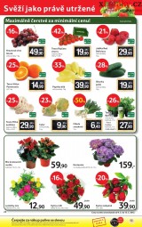 Tesco aktuln letk, strana 24 
