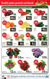 Tesco aktuln letk, strana 12 