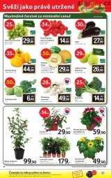 Tesco aktuln letk, strana 32 