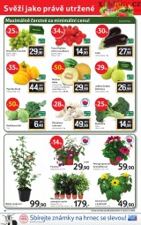 Tesco akn letk, strana 16 