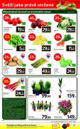 Tesco letk, strana 24 