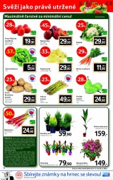 Tesco aktuln letk, strana 12 